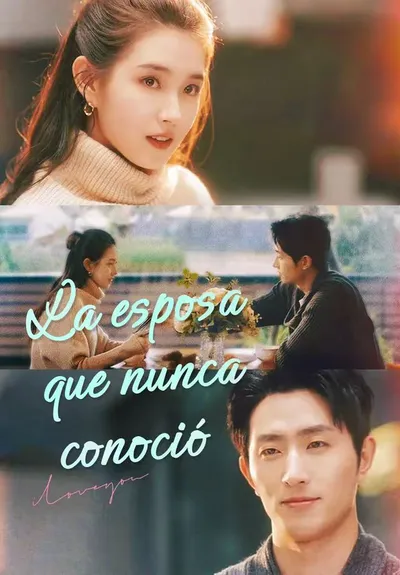 Póster de La esposa que nunca conoció doblado