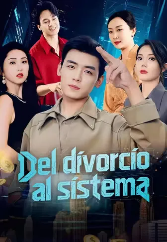 Póster de Del divorcio al sistema doblado