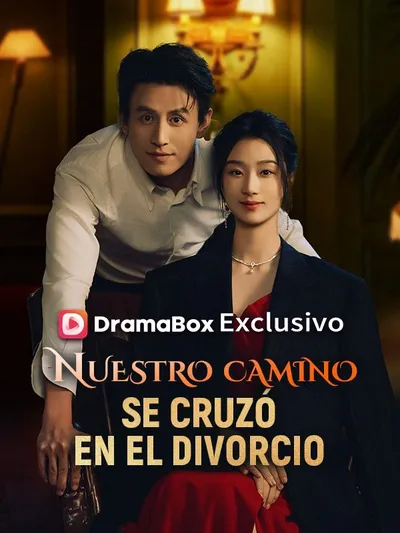 Póster de Nuestro camino se cruzó en el divorcio doblado
