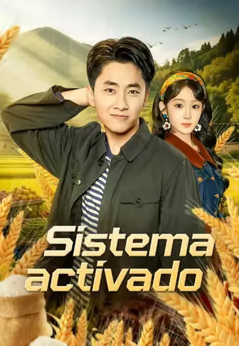 Póster de Sistema activado doblado